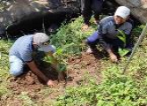 A tree planting program and community awareness program on invasive plants was held to coincide with the 74th Independence Day